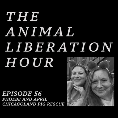 Episode 56 - April Noga and Phoebe Conner of Chicagoland Pig Rescue Podcast Por  arte de portada