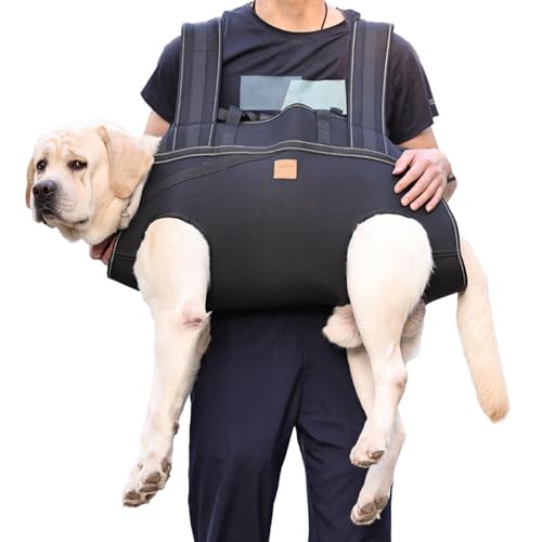 Sac à dos pour animaux de compagnie pour randonnée et balade mains libres