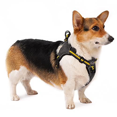 Thinkpet Dog Harness For Medium Dogs No Pull, Escape Proof Step-In Reflective Dog Vest Adjustable Breathable Halter Harness With Back/Front Clip For Better Control M #TOP10