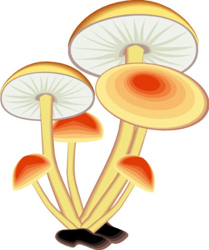 Preisvergleich Produktbild Indigos Wandtattoo, Bunt