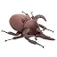 Chalcosoma Caucasus Beetle
