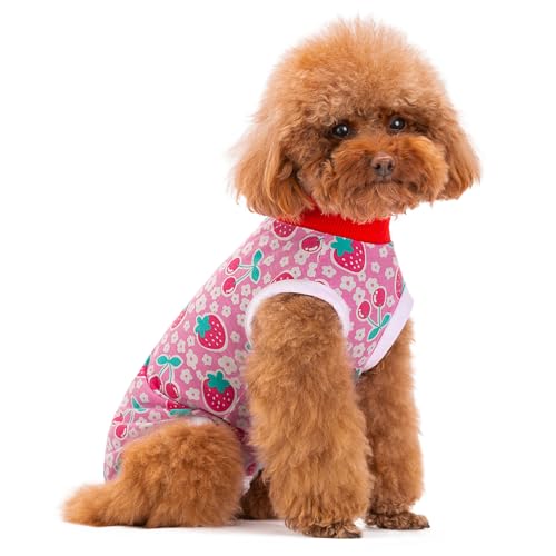 PLUSHCEWT Dog Recovery Suit Recovery Suit for After Surgery Male/Female Dogs Anti-Licking Puppy Medical Surgical Suits Cone E-Collar Alternative Pet Vest Dog Abdominal Wounds Protector (Cherry M)