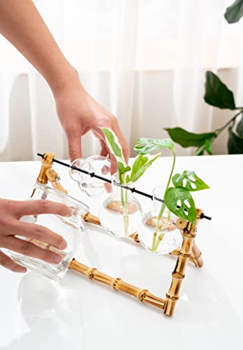 Plant Propagation Stations Terrarium Bamboo Stand, Desktop Planter Glass Bulb Vase Plant Holder Lover Gift Retro Tabletop Indoor Hydroponics Plant Cutting Home Garden Office Decor (Bulb Shape) #TOP3