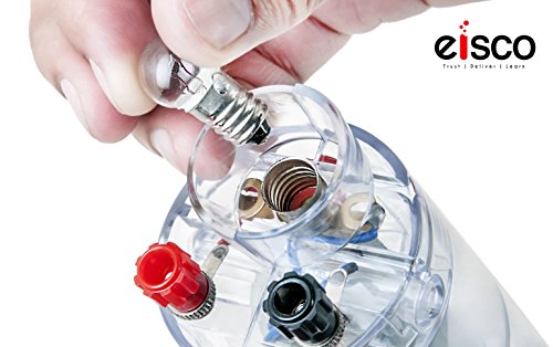 Image of EISCO Hand Crank Generator - Portable Electricity Generator with LED Light, Built-In Flashlight & Lamp, STEM Physics Experiment Kit for Energy Conversion, Science Fair & Classroom Learning