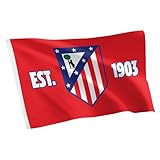 Desert Cactus Atletico Madrid Flag - 3 x 5 Feet Atleti Los Colchoneros Football Soccer Banner, Indoor/Outdoor Durable Fabric, 100% Polyester Design(F)