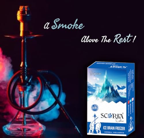 Image of SCORIA Superior Hookah Double Apple, Brain Freezer, Dubai Special, Kesar Pan, Pan Kiwi MInt, Chocolate Flavour & 3 Box Filter (Pack Of 9)