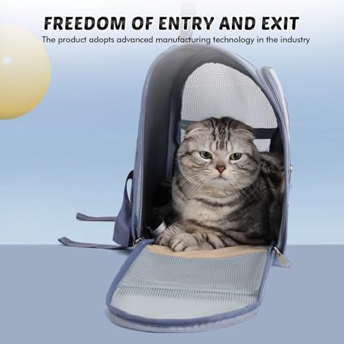 Haustier Rucksack für Kleine Hunde Katzen, Tragbare und Faltbare Katzenrucksack, Hunderucksack, Tragetasche für Katzen Hunde bis 10kg, Atmungsaktive Katzentasche Hundetasche, für Reisen, Spaziergänge