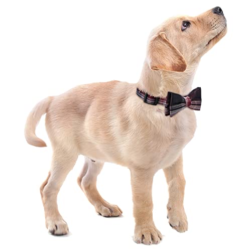 Collier chien noeud papillon rouge et blanc taille S réglable - 7