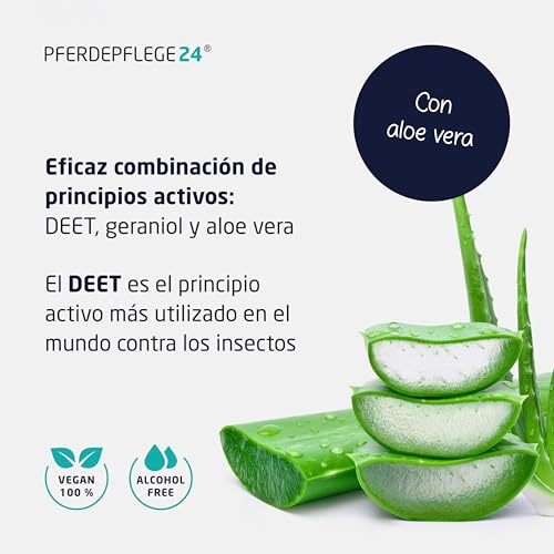 Miniatura 3 de 