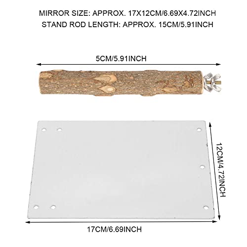 Papageienspiegel, Edelstahl-Vogelspiegel mit stehender Holzstange für Sittich Nymphensittich Conure Lovebirds Finch Canaries