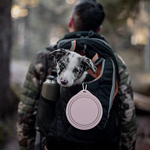 Cooyoo Collapsible Dog Bowls 700Ml,2 Pack Portable Collapsible Dog Water Bowls For Cats Dogs,Pet Foldable Feeding Watering Dish For Traveling Camping Walking With 2 Carabiners #TOP2