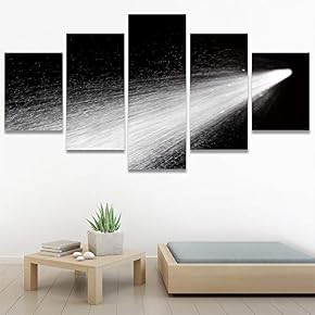 SIGNWIN 5 Panel Canvas Wall Art Modern Art...