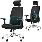 Hzuaneri Chaise de Bureau Ergonomique, avec Support Lombaire et accoudoir réglable, Appui-tête 3D réglable, Inclinaison 135°, Capacité de Charge Maximale 150 kg, pour Bureau à Domicile, Noir ON00199B