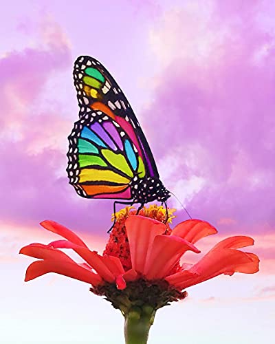 Zeyevan DIY Diamond Painting Complet Fleur Papillon, 5D Broderie Diamant Painting Kit Complet Plante Animale Point Point De Croix Strass Broderie Craft pour Home Office Décoration Murale 30x40cm Cover