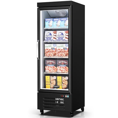 BODEGA 27 Commercial Freezer with Glass Door