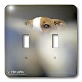  3dRose lsp_18229_2 5 mesi vecchio cucciolo spie interruttore a levetta