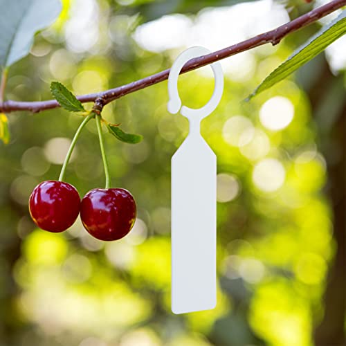 KINGLAKE GARDEN 100Pcs White Plastic Tree Tags Ring Hanging Labels, Sturdy Nursery Garden Markers for Plants