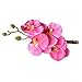 ETSYG Graceful Hair Flowers - Hawaiian Orchid Flower Hair Clips (Pack of 2: White and Pink)