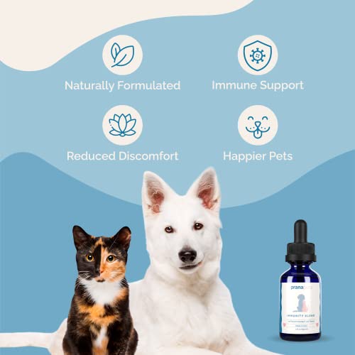 Immunity Blend Supplement for Dogs  Cats | Naturally Helps Relieve Fatigue  Weakness in Pets | Promoting Increased Energy Normal Appetite  Immune Support | by Prana Pets  Cucciolini Doodles Immunity blend supplement for dogs  cats | naturally helps relieve fatigue  weakness in pets | promoting increased energy normal appetite  immune support | by prana pets   cucciolini doodles