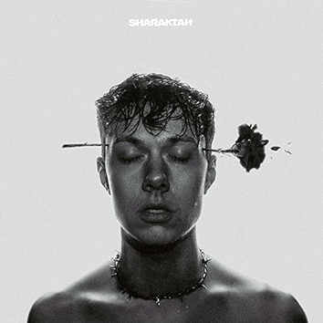 Blumen wachsen durch Beton [Explicit]