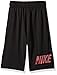 NIKE Boys' Dry Legacy Training Shorts