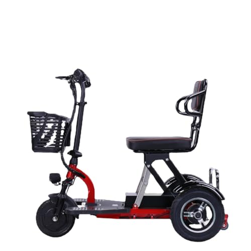 電動三輪車」の人気商品一覧 | 安い商品を通販サイトから探す - 価格.com