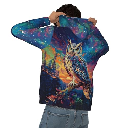 Baegopa Hoodies for Men Novelty Mens Hoodies 3D Prints Thick Men's Graphic Pullover Hooded Sweatshirts with Big Pockets