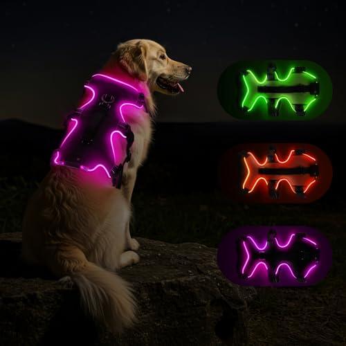 Fiveda Light Up Dog Harness LED Dog Vest - USB-C Rechargeable RGB 9-LED, Slow/Fast Rainbow Modes, Reflective No-Pull Harness with Dual D-Rings & Handle for Small to XL Dogs (Black, XL)