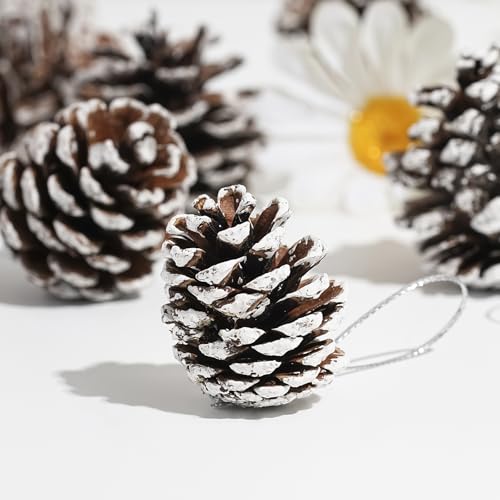 DAHI 30pcs Tannenzapfen Anhänger Weihnachtsschmuck Zapfen Deko zum...