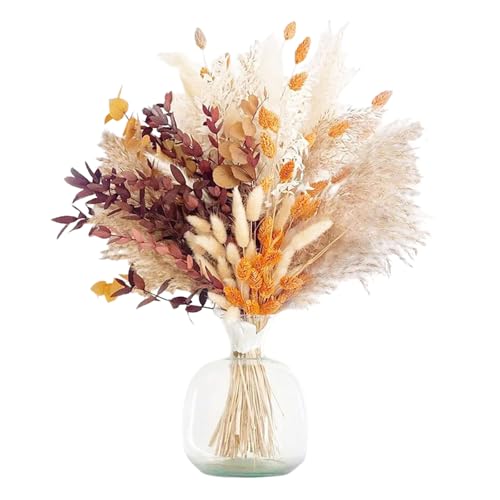 LIUYIDM 64 Pièces Bouquet Fleurs Sechees Naturelles Pampas Sechees Decoration Herbe de la Pampa...