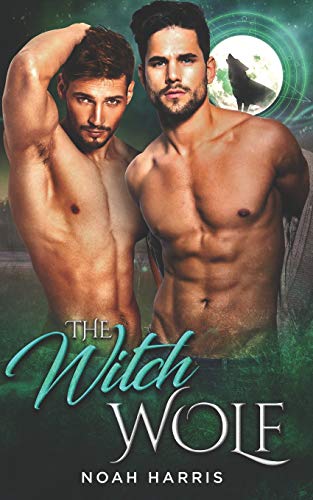 The Witch Wolf (WindWard Triad)