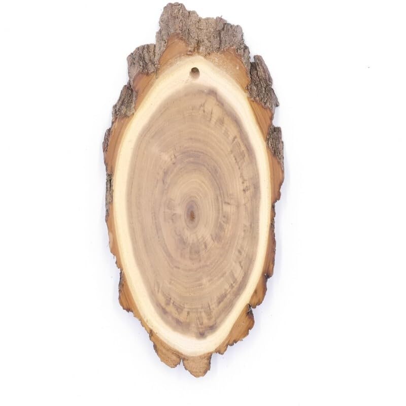 KRUMHOLZ 10 Stück Trophäenschilder Akazie AF 17 cm Rehbock Geweih Baumschild