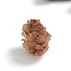 BYHER Pine Cones, Mini Pinecones in Bulk for Crafts, 8OZ, Pack of 110 (Natural) #4