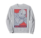 19MARF00027A-002 Marvel Avengers Endgame Ant-Man Pop Art Sudadera