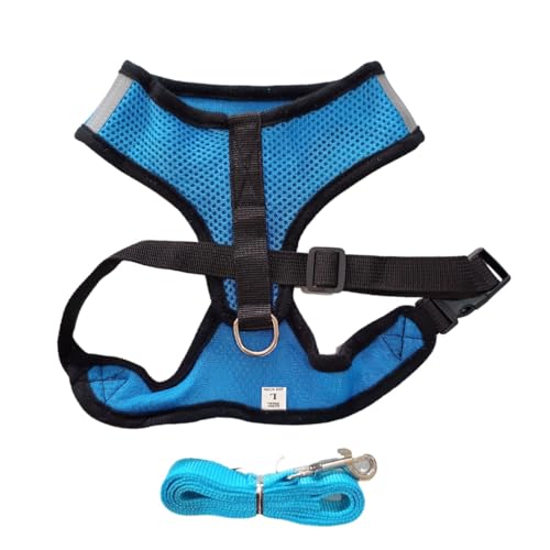 Coleira Peitoral Select Pet Com Guia Para Cachorro e Gato (M, Azul)