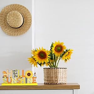   Blulu-4-Pcs-Hello-Spring-Table-Decorations-Spring-Easter-Table-Centerpieces-Hello-Sunshine-Wooden-Signs-Decorations-for-Home-Wooden-Party-Ornament-Farmhouse-Easter-RusticVibrant-Style