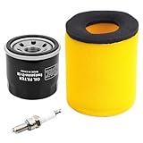 Road Passion 13780-03G00 13780-07G00 13791-03G00 Air Filter & 1651003G00 Oil Filters & Spark Plugs Tune Up Kits Compatible with Suzuki Eiger 400 LT-A400 LT-F400 2002 2003 2004 2005 2006 2007