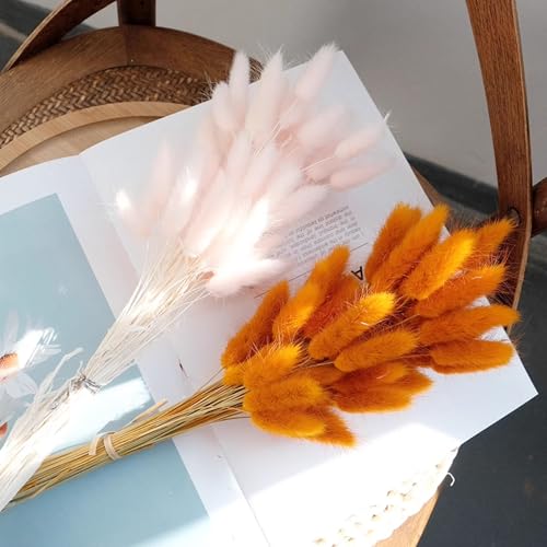 Orange Bunny Tails flores secas naturales 120 piezas miniatura 5