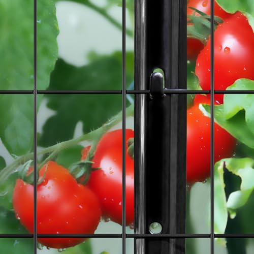 FOREHOGAR Metal Fence Post 4 Feet Black, Pack of 15, T Post for Wire Fence, No Dig Steel U Post Fencing for Lawn Garden Wire Mesh Fence Poles Sign Outdoor Light Duty