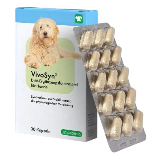 cp-pharma VivoSyn | dwupak | 2 x 30 kapsułek | karma uzupełniająca dla psów | do stabilizacji fizjologicznego trawienia | wysoko skoncentrowany synbiotyk
