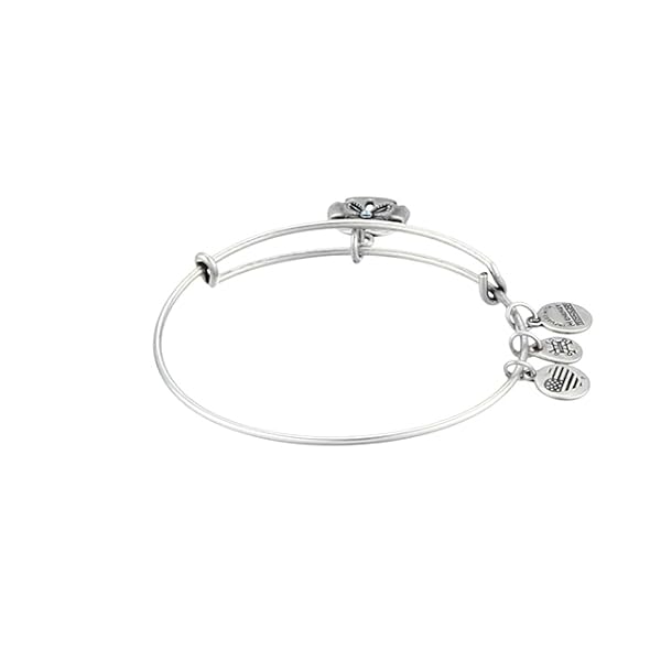 Alex and Ani Sand Dollar III Rafaelian Silver Bangle Bracelet