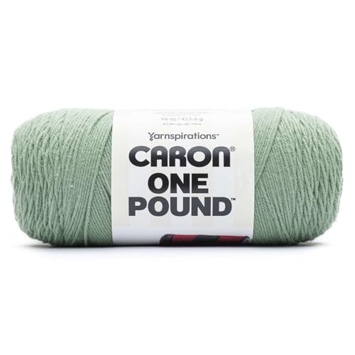 Image of Caron One Pound Yarn-Succulent 294010-10655