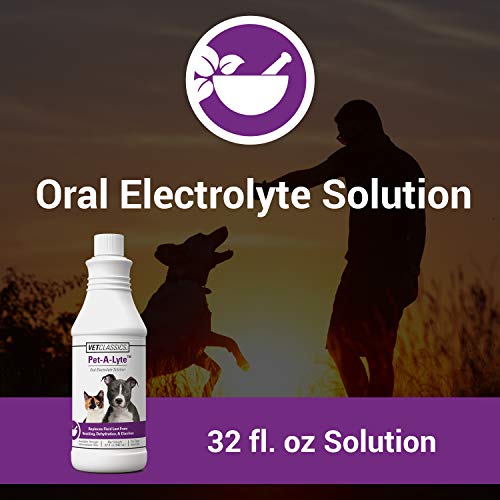 Vet Classics PetALyte Oral Electrolyte Solution for Dogs and Cats Helps Replace Fluids Lost