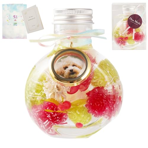 Ԃ܂肩 ybg   n[oE dp  ӂӂ탁[n[oE ̋   (͂ȂтsN)