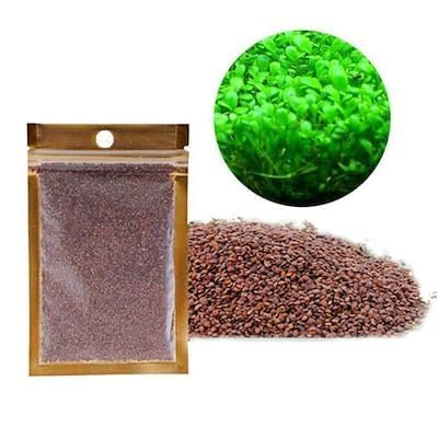 ANIMAUX Aqua Soil Planted 1Kg Aquarium Substrate Aquarium Mud with Carpet Leaf Plant Seed for Fish Planting The Water Grass Aquarium Soil (B0CW9S8SZV) Amazon Price History, Amazon Price Tracker