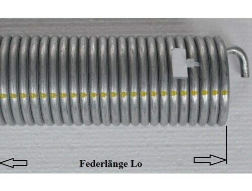 2 PEZZI MOLLA DI TENSIONE PORTA GARAGE Molla Porta Garage MOLLA GARAGE - Foto 10