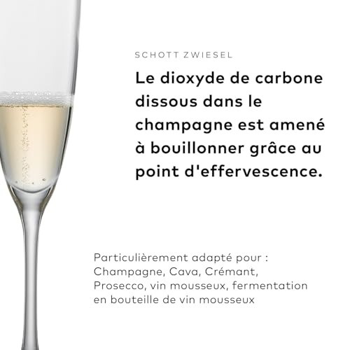 Flûte à champagne Schott Zwiesel lavable en machine sans risque de casse