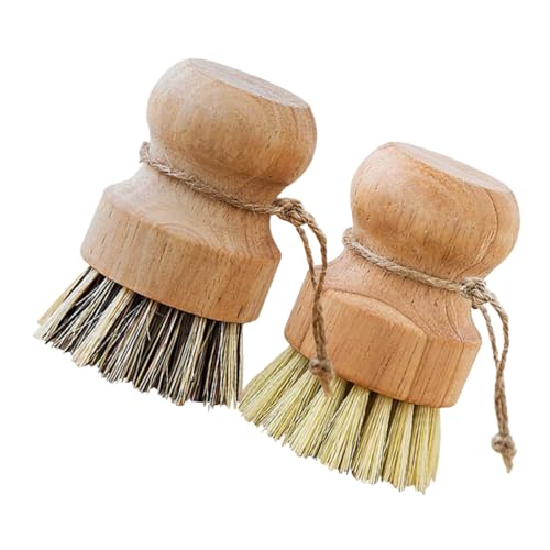 Anneome 4 pièces Lot Brosses Vaisselle Cuisine Naturelles pour Récurer Pots Légumes et Éviers Petit Format Robuste