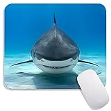 Hokafenle Square Mouse Pad Shark Animal, Premium-Textured Custom Mouse Mat Design,Washable Mousepads...