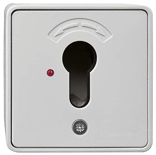 Preisvergleich Produktbild Schlüsseltaster Unterputz ohne Zylinder - 4593 - (Gehäuse Metall, Abdeckung Kunststoff), 80000007